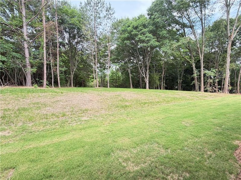 Natural landscape and outdoor views near  in Jefferson (Image 46).