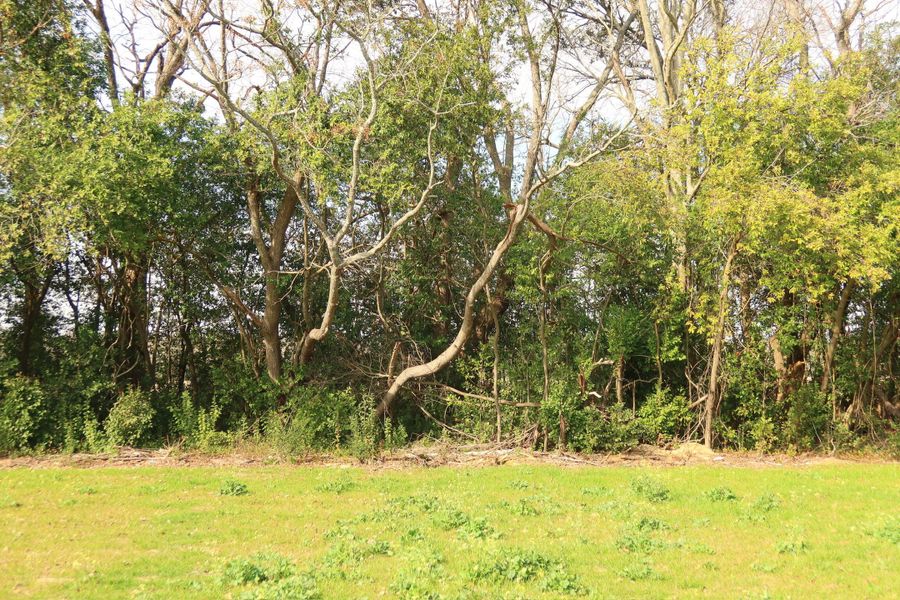 Natural landscape and outdoor views near  in Santee (Image 5).