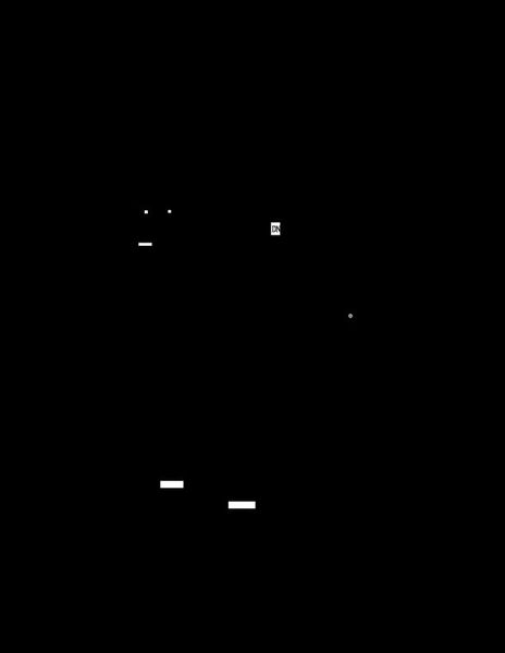 Second Floor - Owner's Front