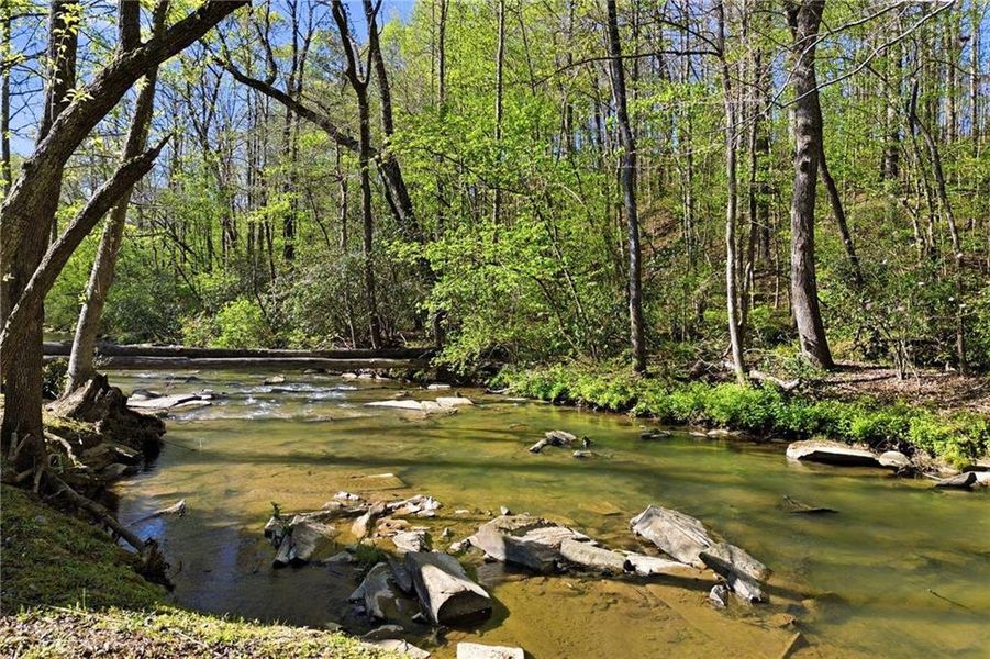 Natural landscape and outdoor views near  in Talking Rock (Image 85).