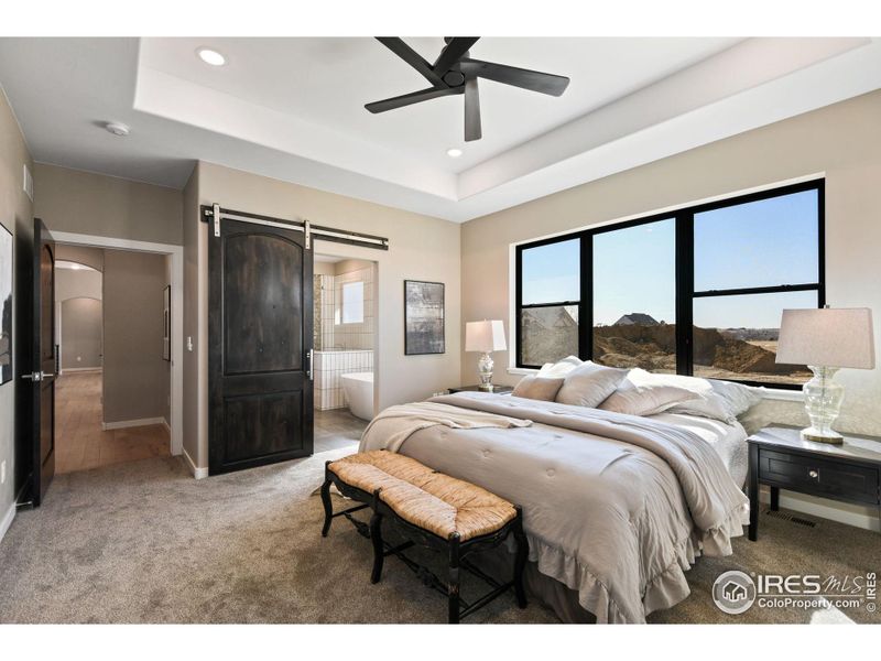 Primary suite with luxury 5 piece bath and Walk In Closet