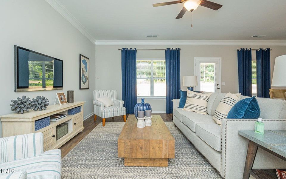 Representational Photo