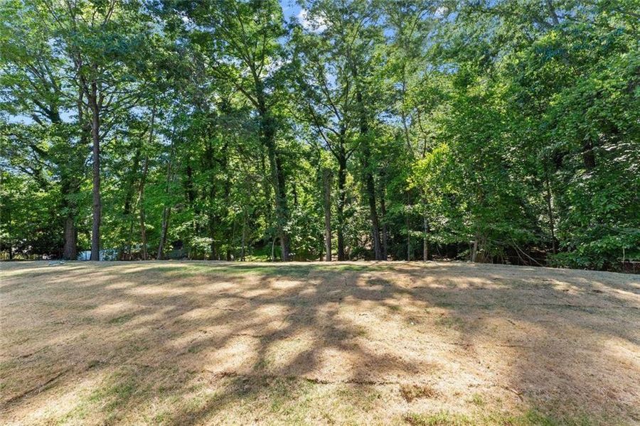Natural landscape and outdoor views near  in Gainesville (Image 45).