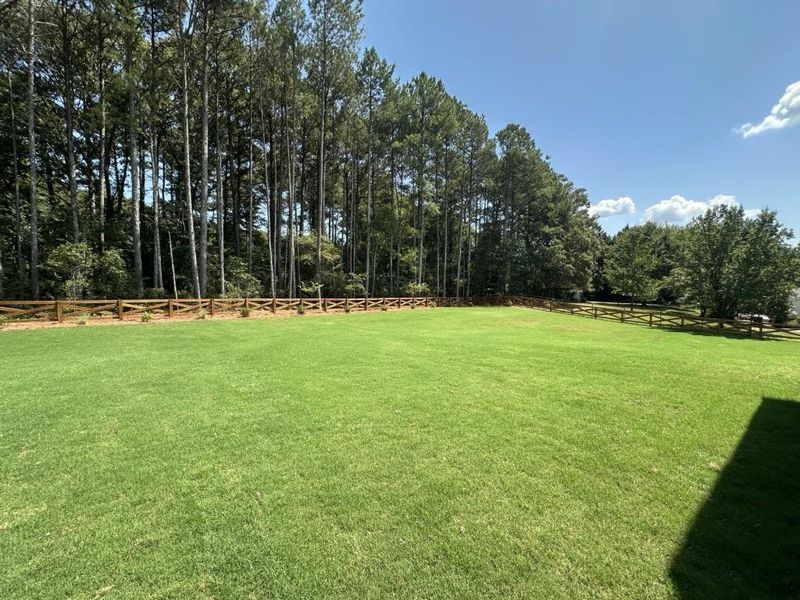 Natural landscape and outdoor views near in Lawrenceville (Image 32). Natural landscape and outdoor views near in Lawrenceville (Image 32).