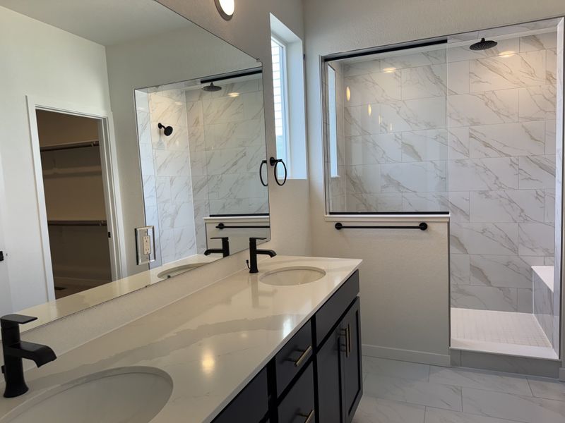 Owner's Bath
