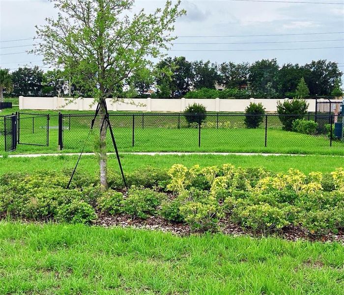 Natural landscape and outdoor views near Marion Ridge in Haines City (Image 4). Natural landscape and outdoor views near Marion Ridge in Haines City (Image 4).