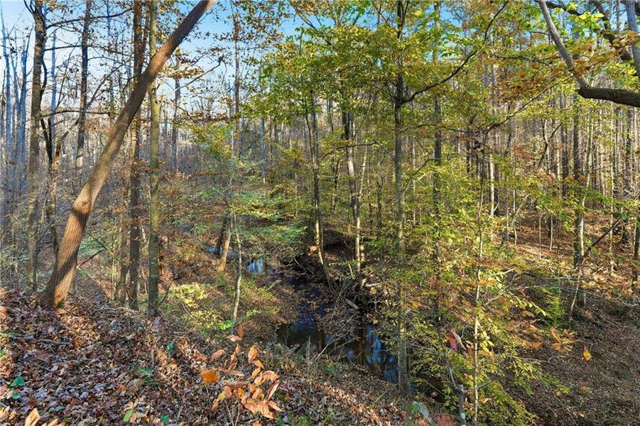 Natural landscape and outdoor views near in Jasper (Image 35). Natural landscape and outdoor views near in Jasper (Image 35).