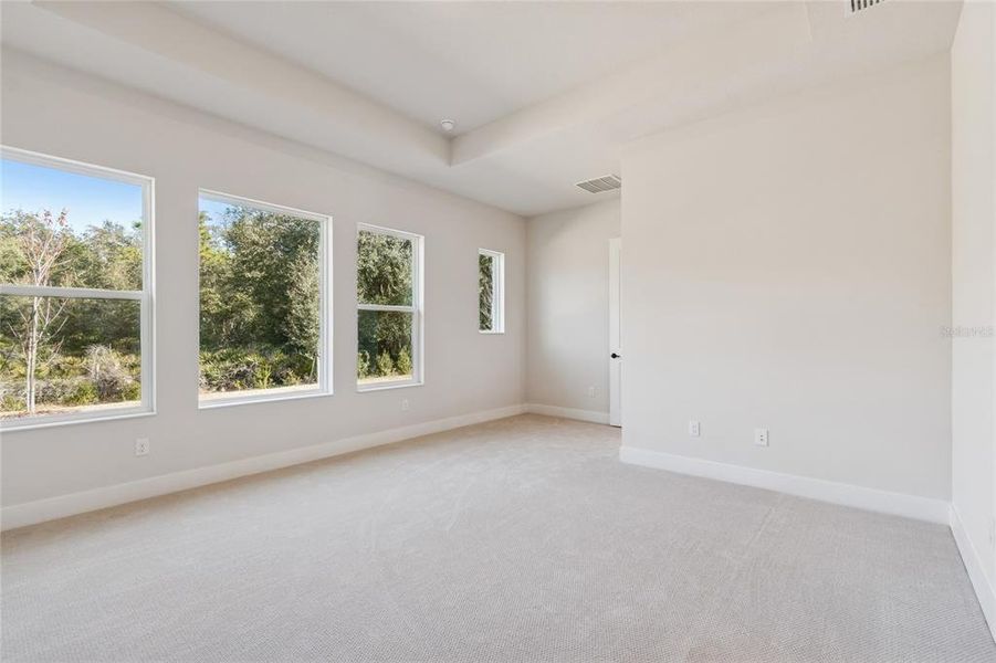 Spacious, unfurnished interior of a new home in Chapel Crossings, Wesley Chapel (Image 27).