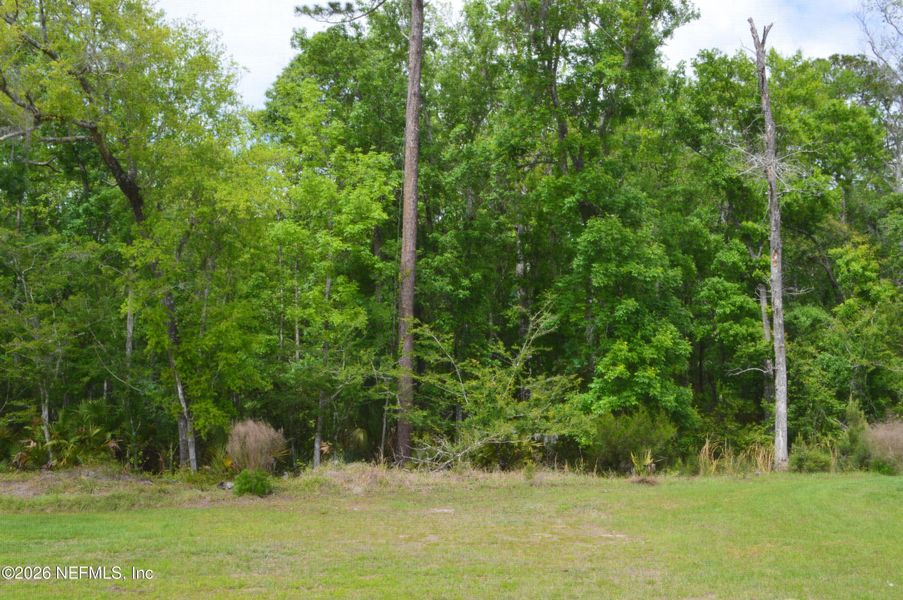 Natural landscape and outdoor views near  in St. Augustine (Image 25).