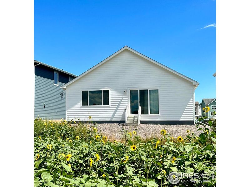 Low maintenance backyard landscaping was recently completed.  The yard is ready for your finishing touches!