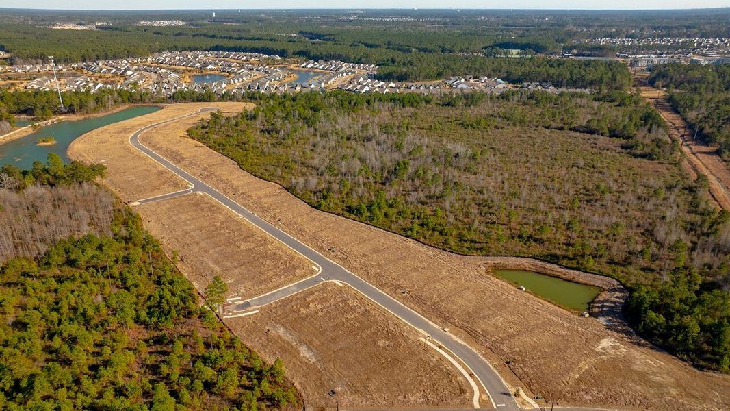 Site preparation for new homesites in Sheep Island, Summerville (Image 22).