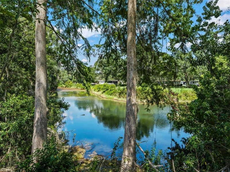 Natural landscape and outdoor views near Fox Pointe at Rivers Edge in Leesburg (Image 42).