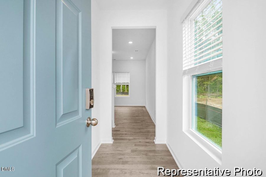 201 Surfbird -Tidalcreekphoto- (2)_REP 201 Surfbird -Tidalcreekphoto- (2)_REP