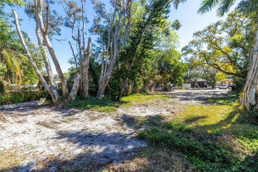 Natural landscape and outdoor views near  in St. Petersburg (Image 10).