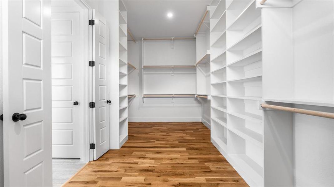 Walk in closet featuring hardwood / wood-style floors