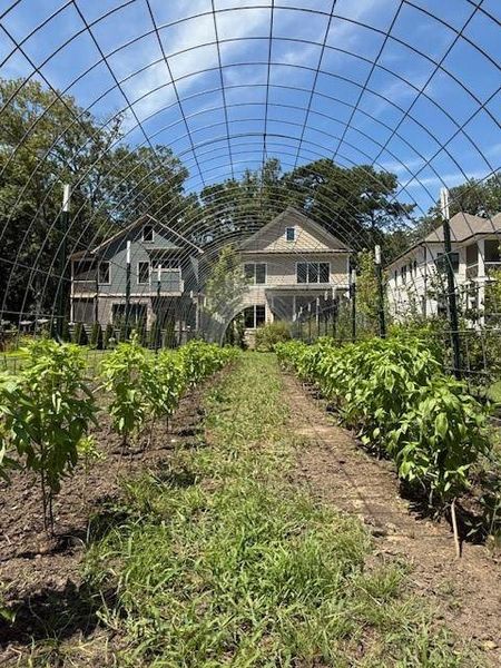 Image 59 of a home in Pendergrast Farm.
