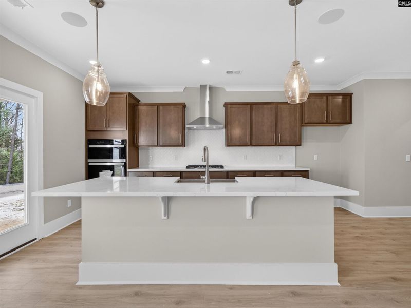 Furnished interior view inside a new home in Collins Cove, Chapin (Image 5).