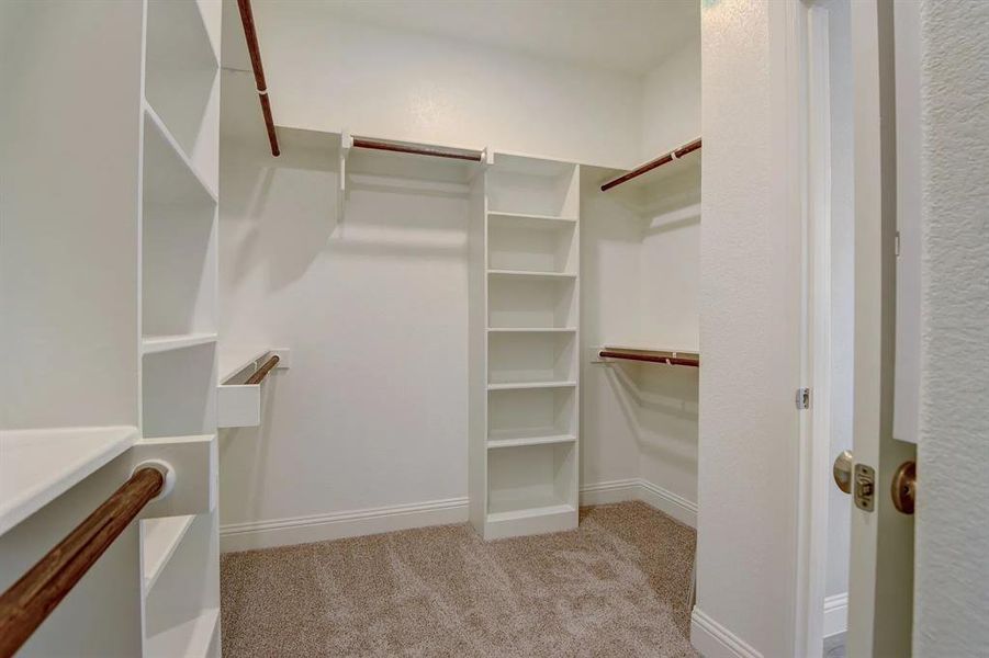 Spacious closet featuring carpet