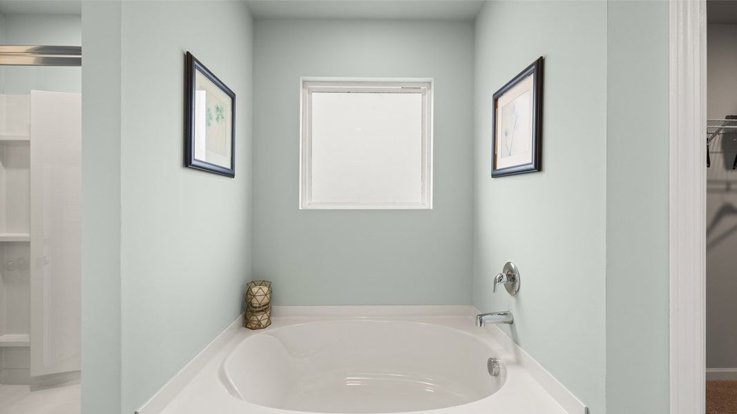 Representative interior finishes for a home built from the Mansfield by D.R. Horton in Estates at Deer Hollow, Grovetown (Image 20).