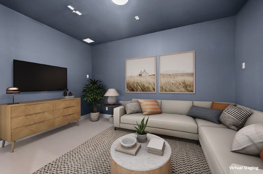 Entertainment Room