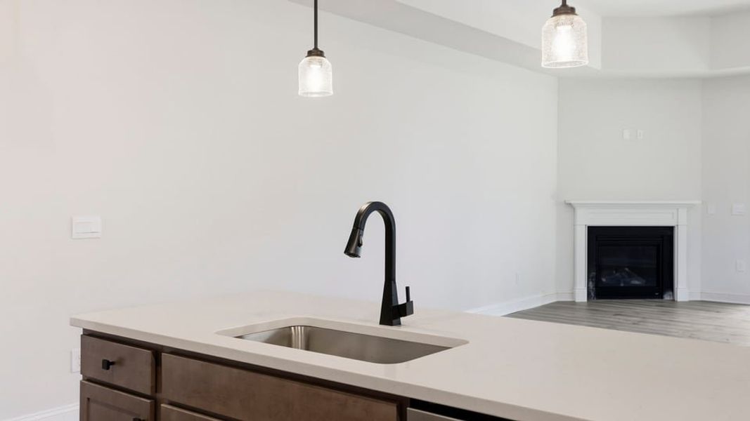 Close-up of interior finishes inside a home in Blue Ridge Trail, Fountain Inn (Image 13).