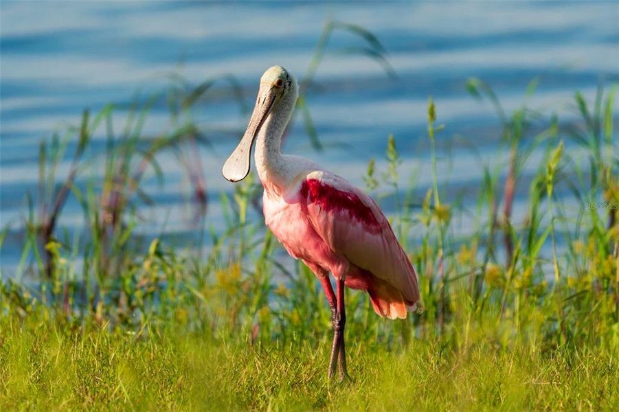 Image 74 of a home in . Image 74 of a home in .