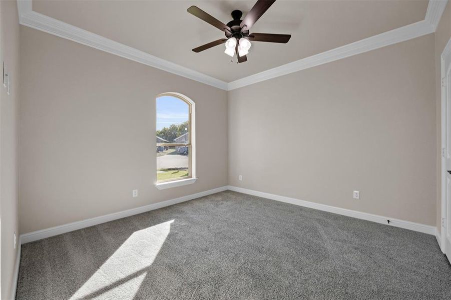 Carpeted empty room with ceiling fan and crown molding