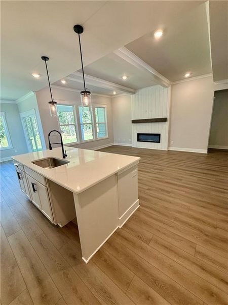 Furnished interior view inside a new home in Fowler Farms, Auburn (Image 14).