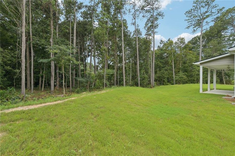 Exterior details and patio area of a home in Stephen's Landing, Loganville (Image 20).