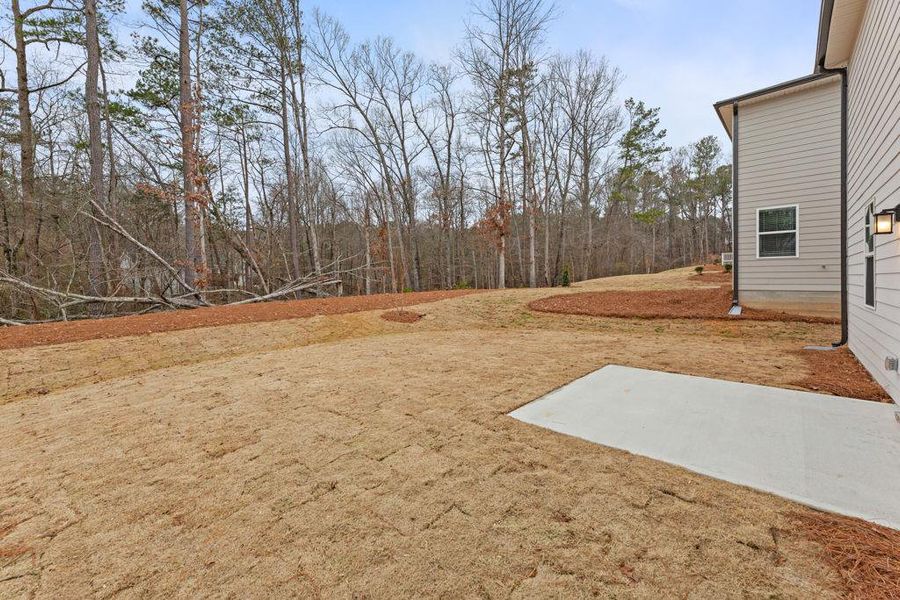 Exterior details and patio area of a home in Belleview Manor, Fairburn (Image 19).