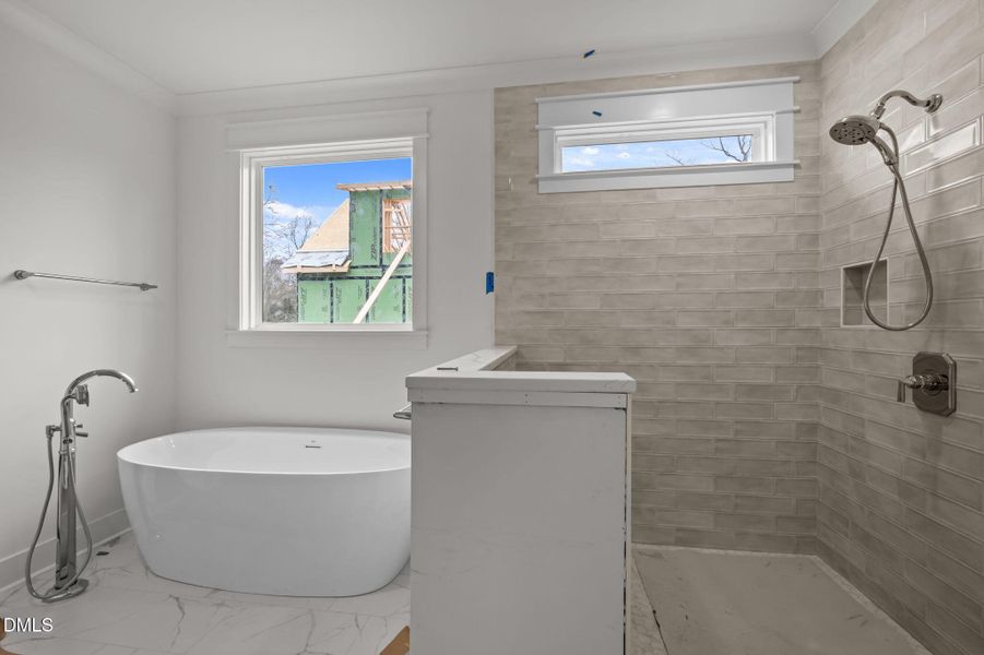 86-web-or-mls-P1097636