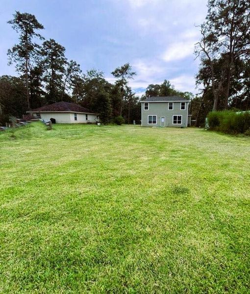 Another view of the back yard