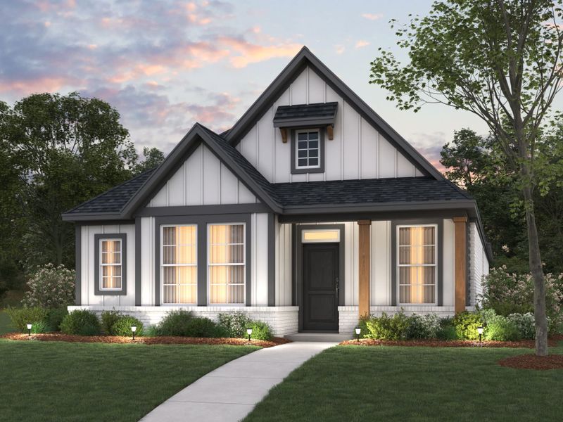 Begonia Elevation F Begonia Elevation F