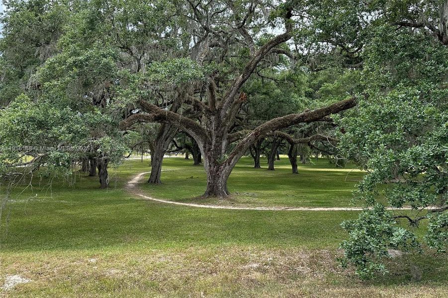 Natural landscape and outdoor views near  in Dunnellon (Image 31).