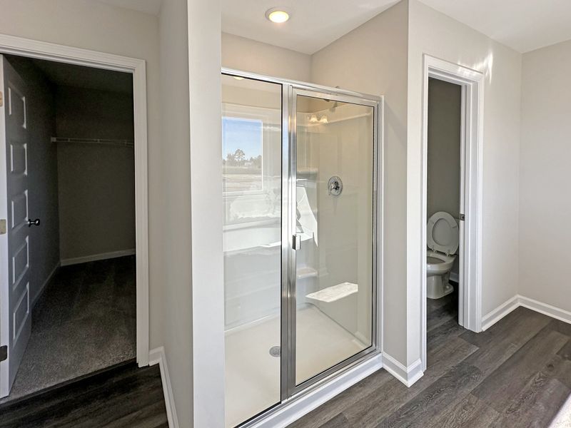 Furnished interior view inside a new home in Tibet Road at Sassafras, Allenhurst (Image 11).