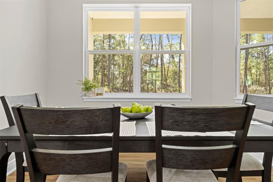 Furnished interior view inside a new home in , Homosassa (Image 36). Furnished interior view inside a new home in , Homosassa (Image 36).