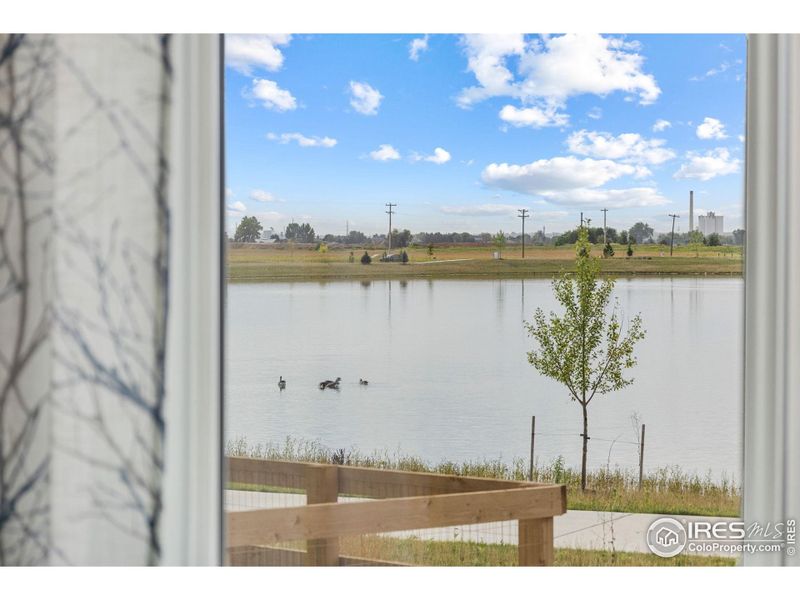 Primary bedroom view