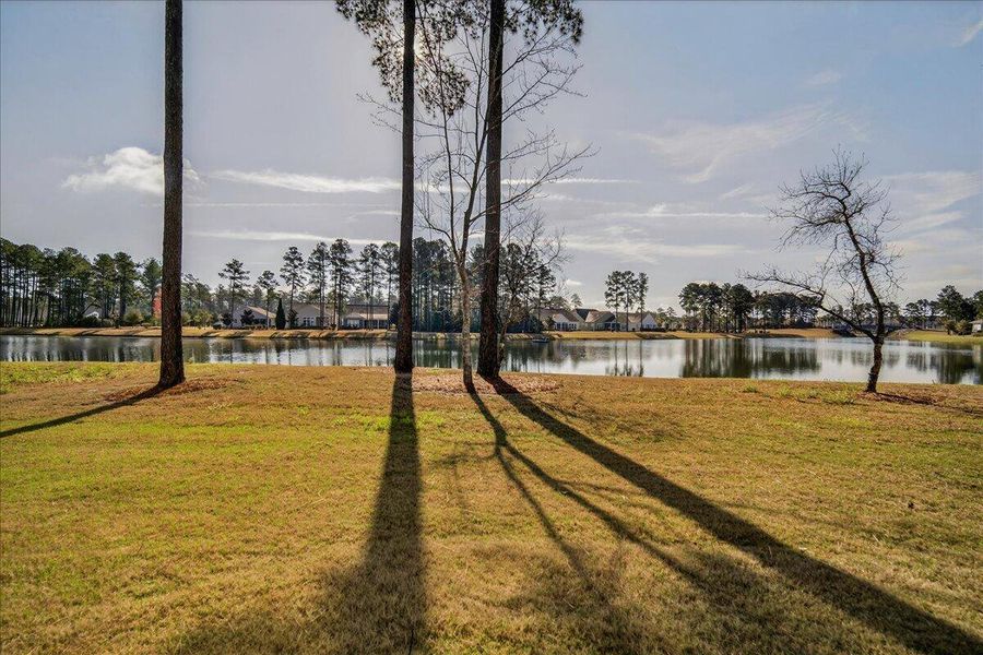 Natural landscape and outdoor views near  in Summerville (Image 74).