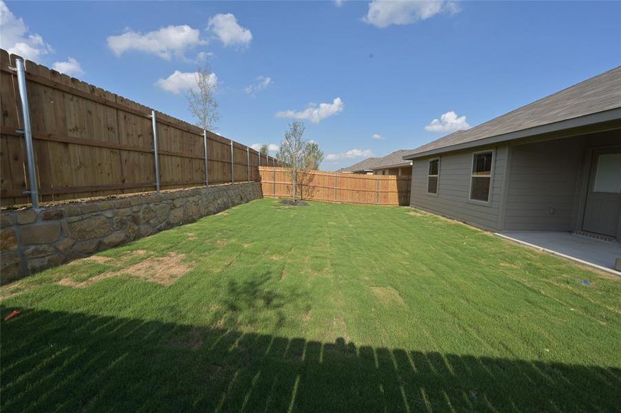 Large 6 ft privacy fenced backyard