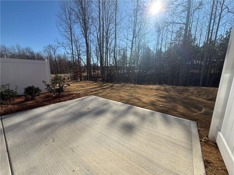 Exterior details and patio area of a home in The Towns at Auburn Station East, Auburn (Image 16).