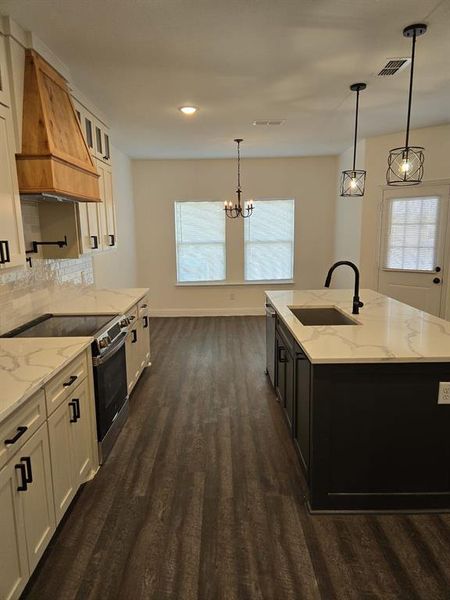 Kitchen featuring sink, appliances with stainless steel finishes, dark wood-type flooring, premium range hood, and white cabinets