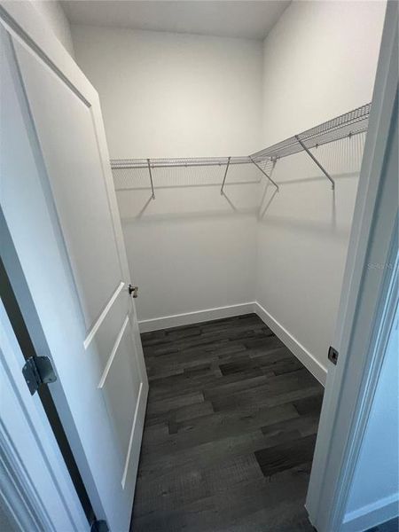 Walking Closet