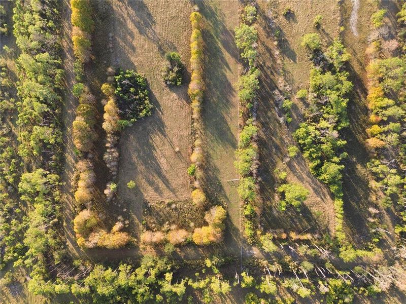 Natural landscape and outdoor views near  in Ona (Image 66).