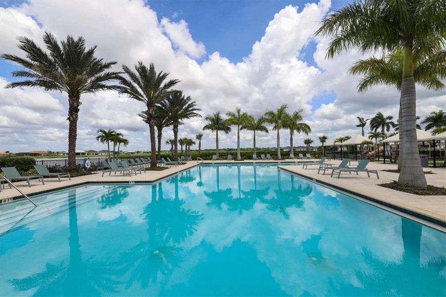 Community amenities in , Sarasota (Image 43).