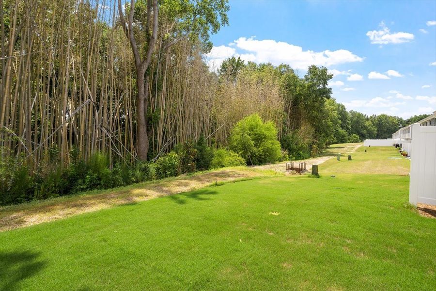 Natural landscape and outdoor views near West Main Townhomes in Sanford (Image 25).