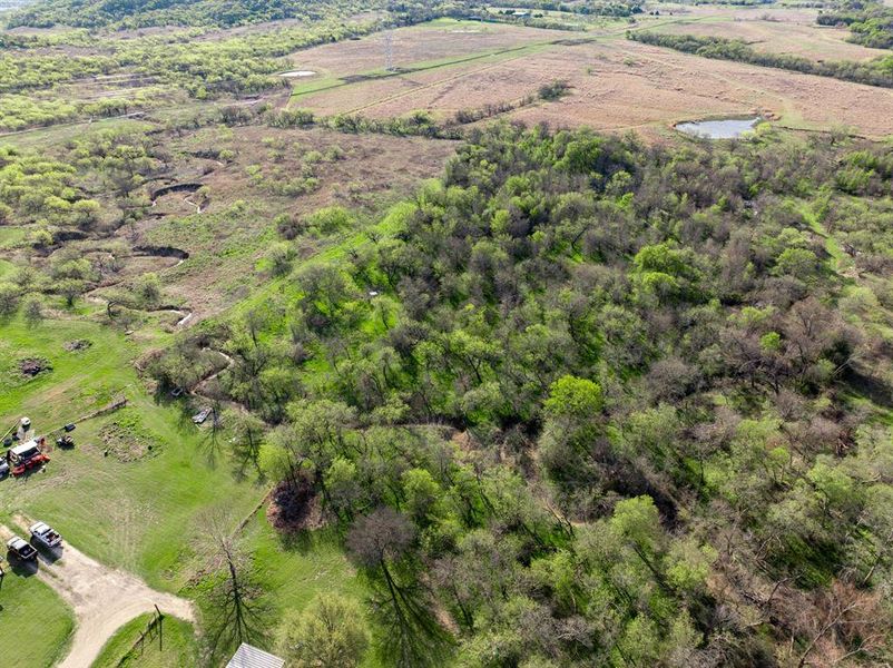 Natural landscape and outdoor views near  in Grandview (Image 23).