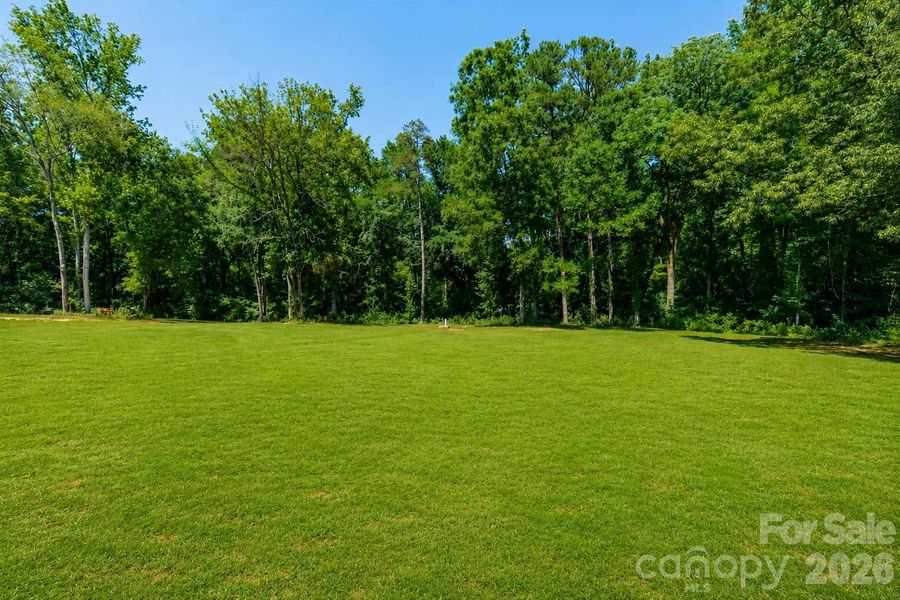 Natural landscape and outdoor views near in Wesley Chapel (Image 44). Natural landscape and outdoor views near in Wesley Chapel (Image 44).