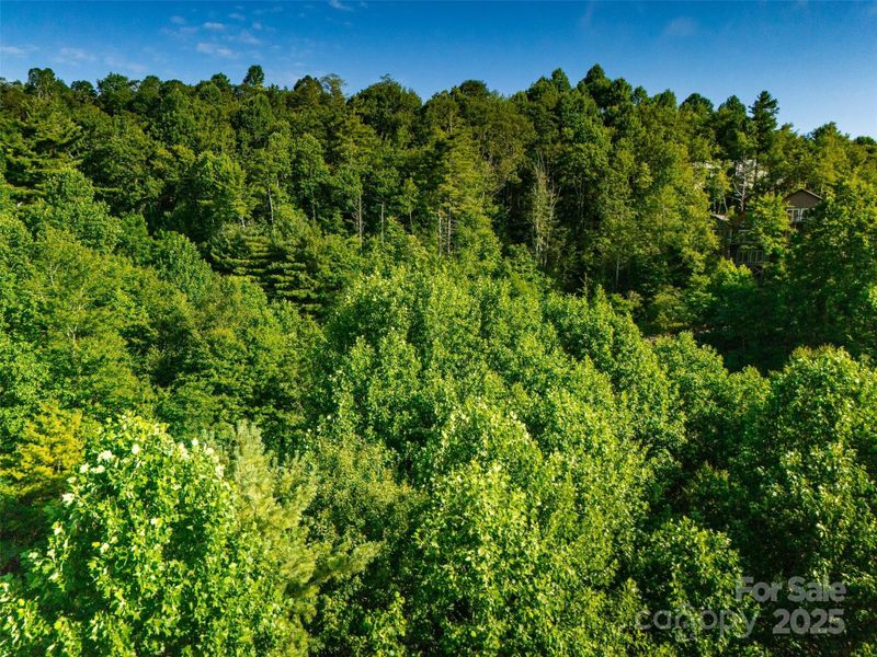 Image 12 of a home in . Image 12 of a home in .