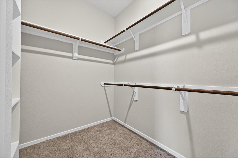 Spacious, unfurnished interior of a new home in Cypress Green, Hockley (Image 26).