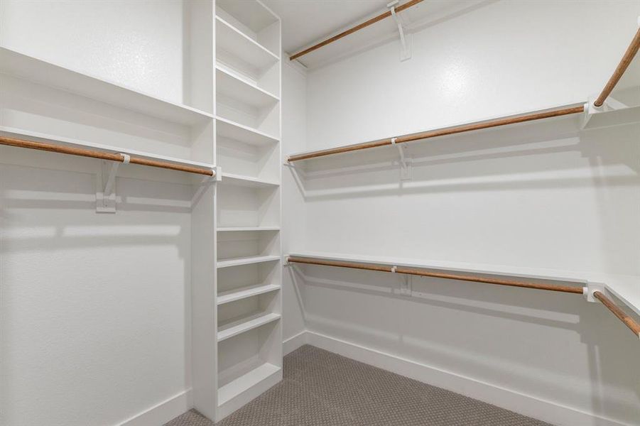 Walk in closet with carpet